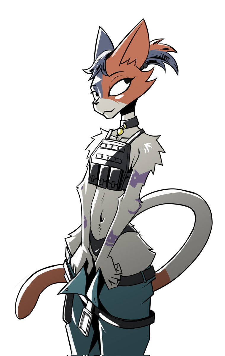 Gatonejo tweet media