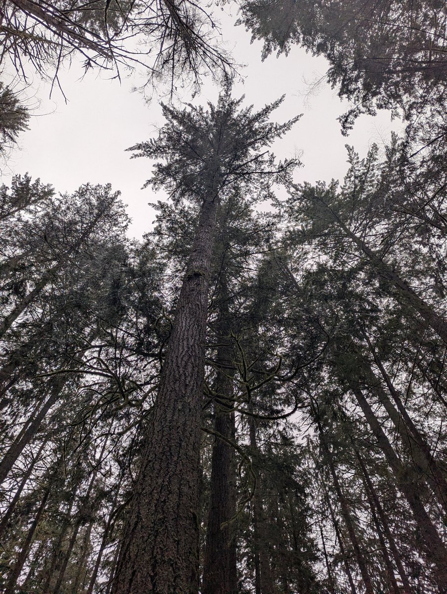 Scott Lear, PhD tweet media