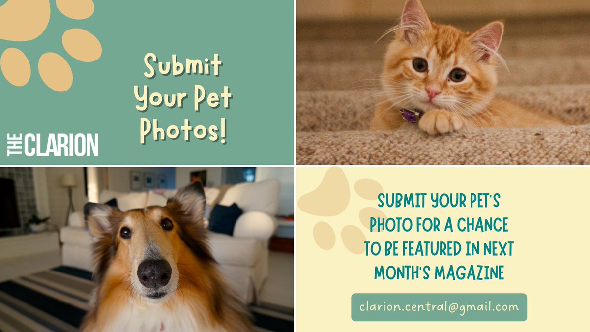 The Clarion tweet media