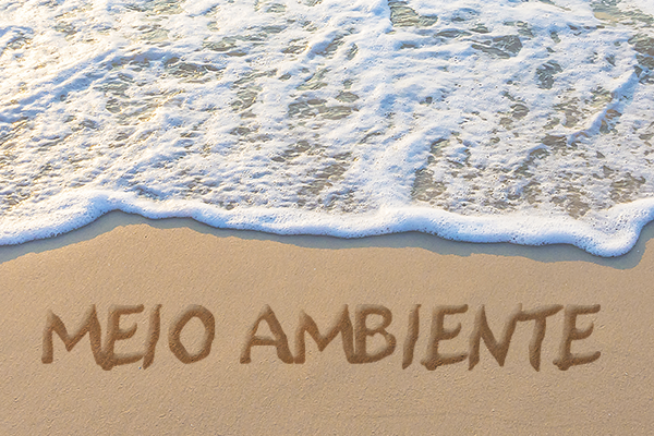 MPF_PGR's tweet photo. MPF recorre ao STF para garantir proteção ambiental na Ilha dos Frades (BA)

➡️ Leia a matéria: https://t.co/l8em7AOlbk https://t.co/wqxvkeqEFF