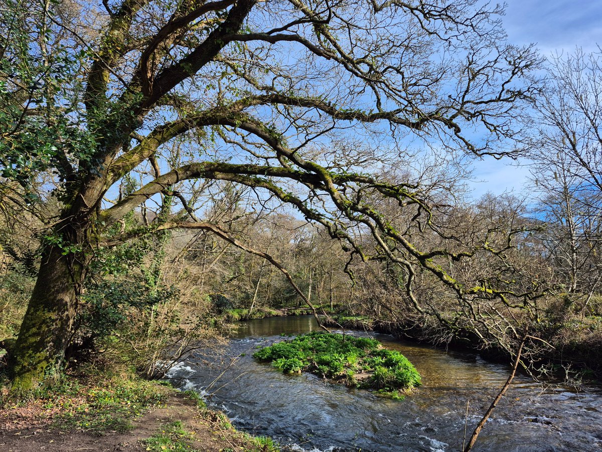 A lovely walk along the River Fowey at Respryn #Bodmin #NationalTrust # ...