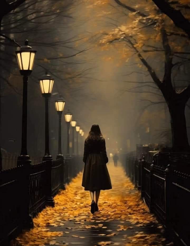 Francisco Ribeiro tweet media