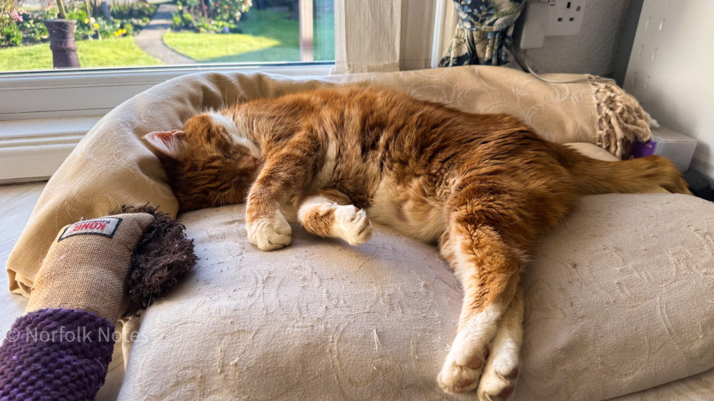 Twiggy Bigwood tweet media