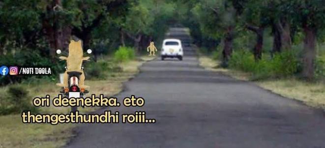 AitheyEnti tweet media