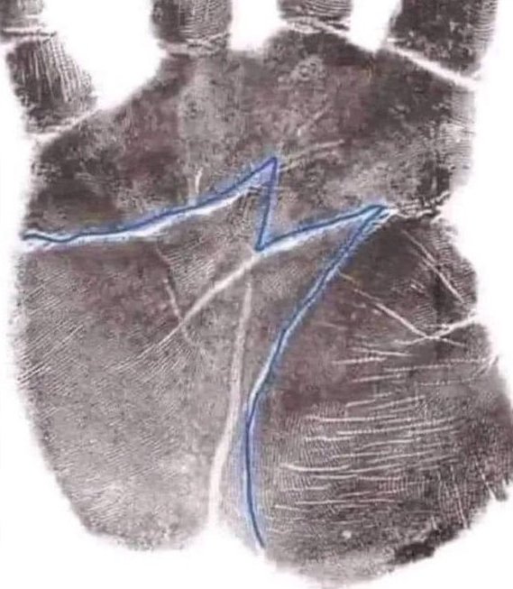 Q ™️ tweet media