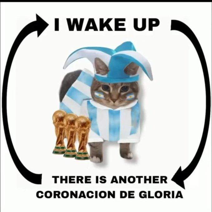 Thomsius tweet media