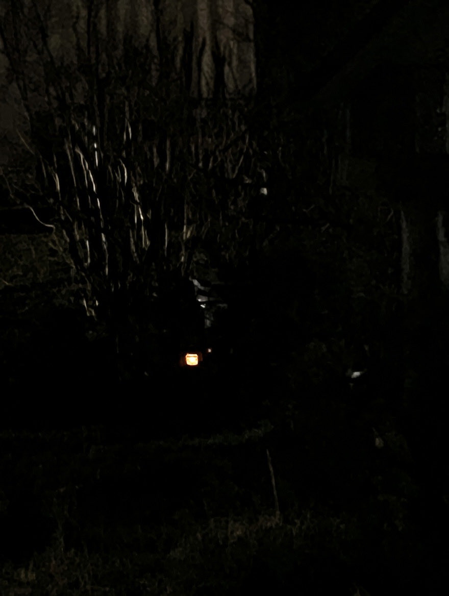 Cookie🐈‍⬛Stanley🐈Fiene🐯♥️ tweet media