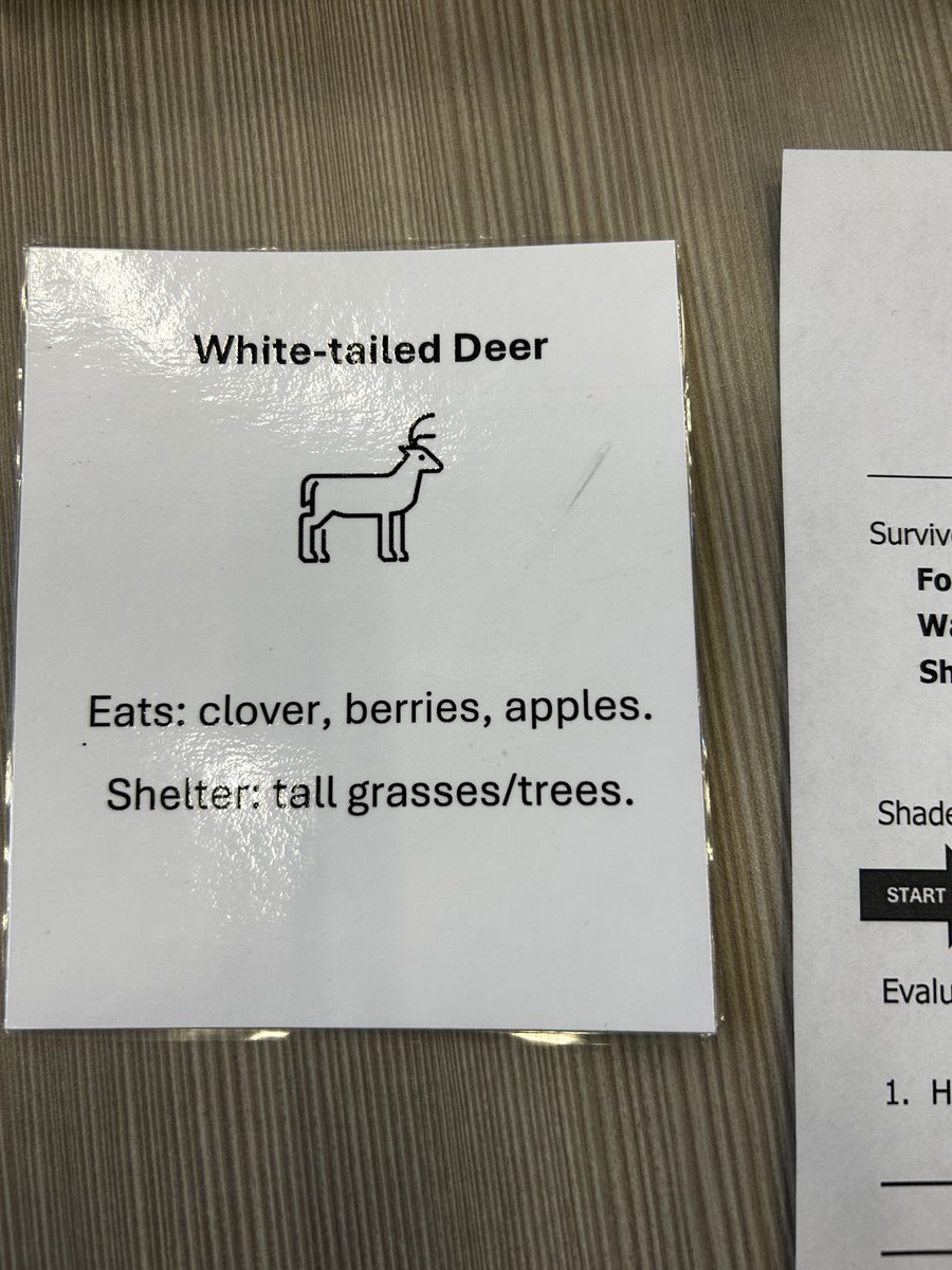 Laura Mackay tweet media