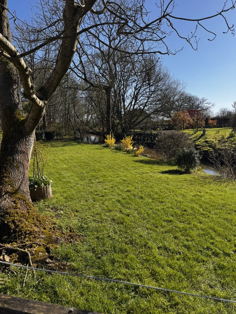 DH Maintenance tweet media