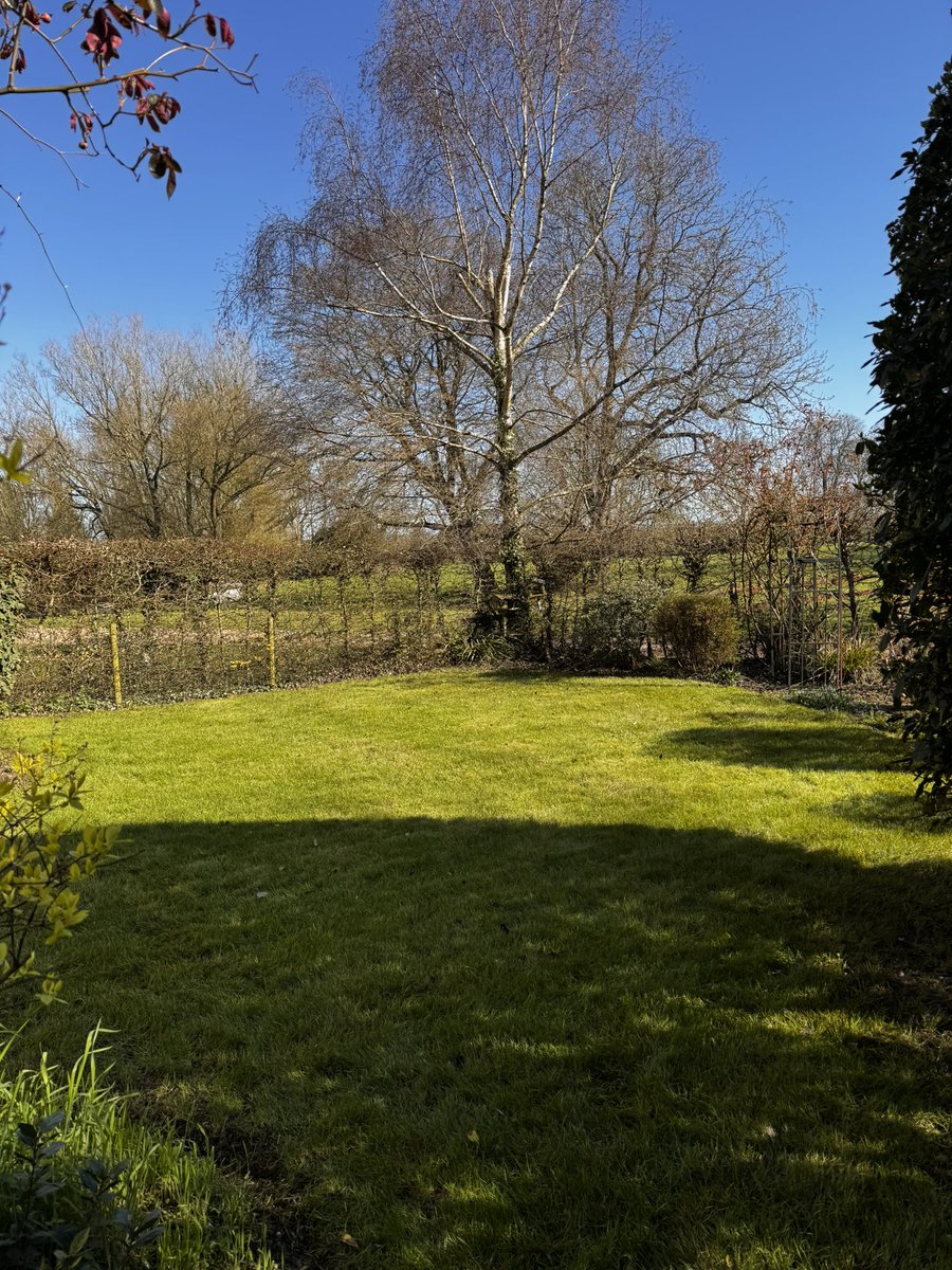 DH Maintenance tweet media