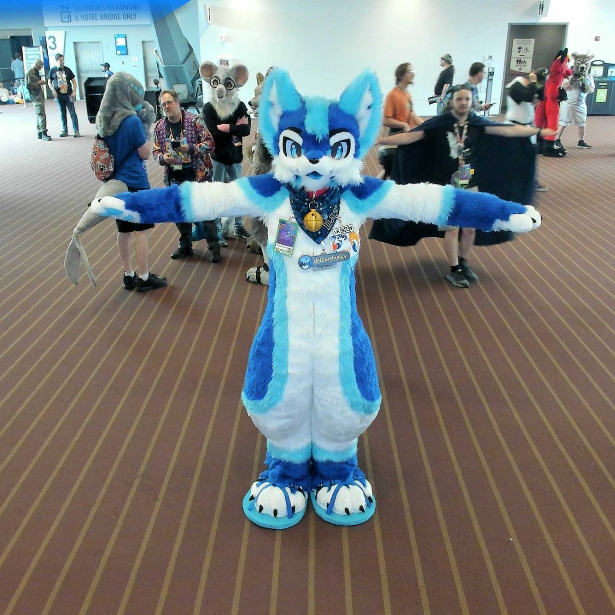 DatBlueHusky🔜FE, FWA, AC tweet media