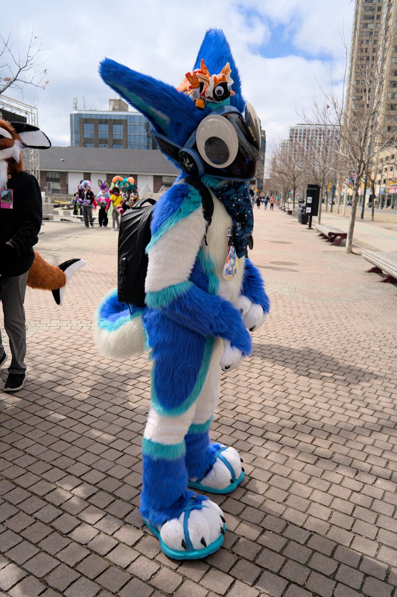 DatBlueHusky🔜FE, FWA, AC tweet media