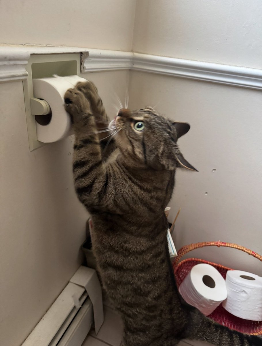 ShayGaetz tweet media