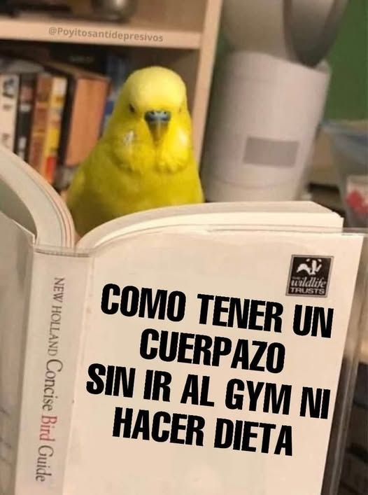 MayaSol27's tweet photo. Ese libro me interesa https://t.co/2sqwTlAV9b