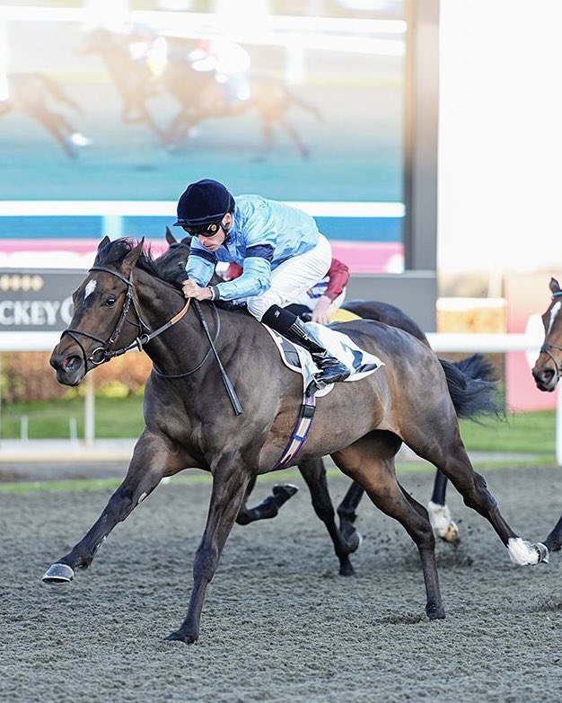 Ed Walker Racing tweet media