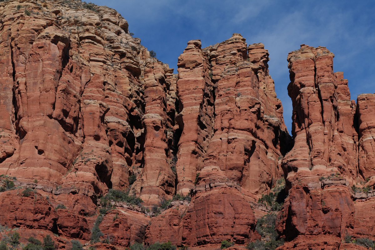 Man with a Mirrorless tweet media