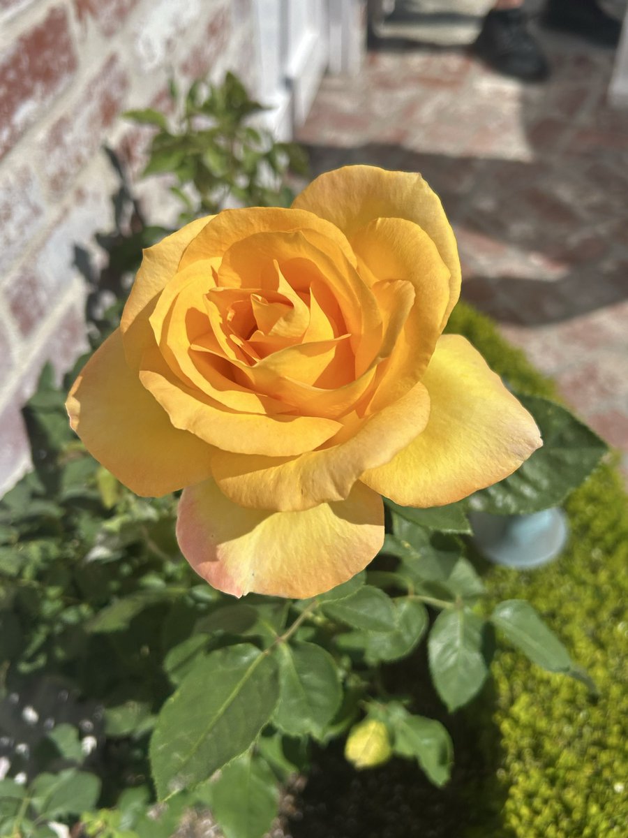 On the peninsula, OC