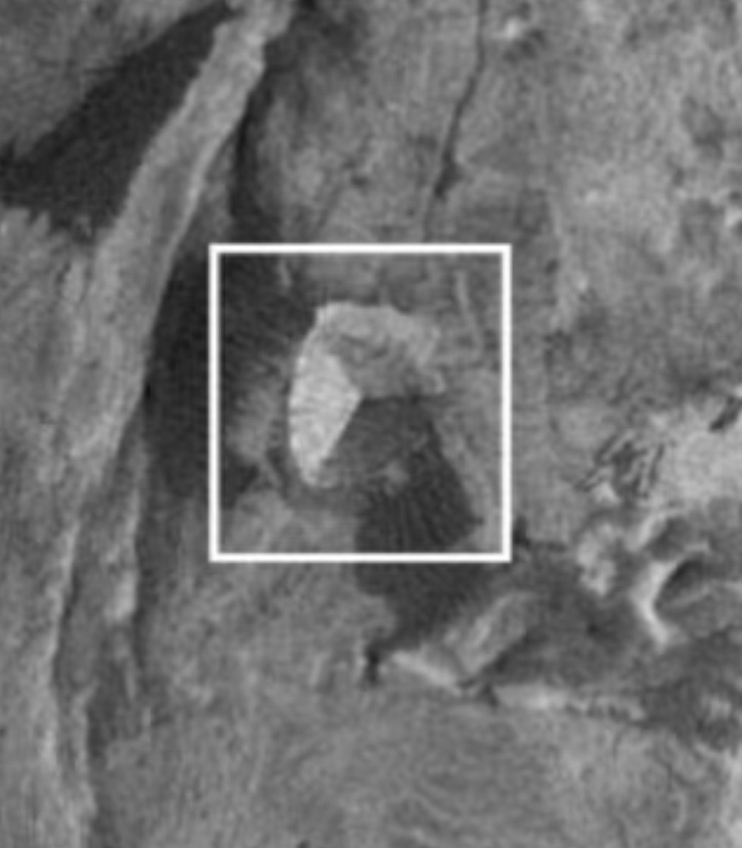 Filip Zieba tweet media