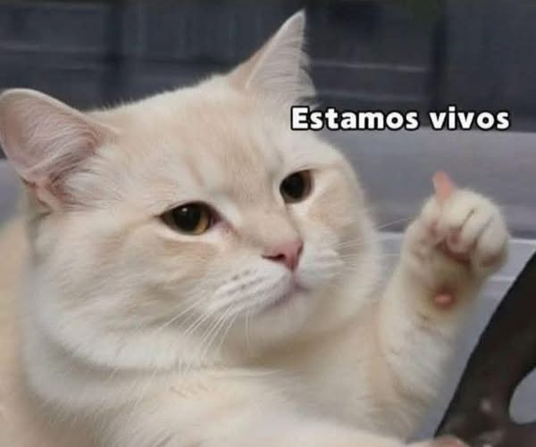 MayaSol27's tweet photo. Creo que eso ya es ganancia https://t.co/dam3Ll4fLB