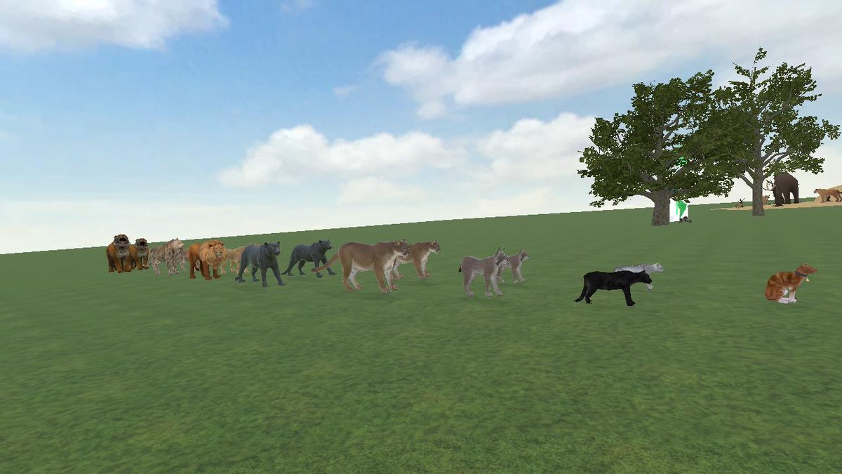 ChesapeakeBayAcademy tweet media