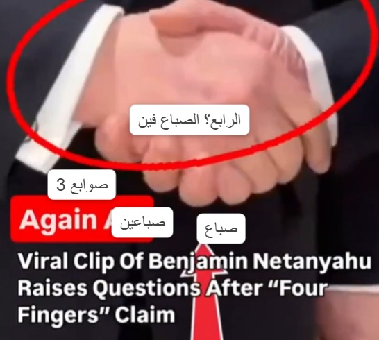 عائشة السيد - Aisha AlSayed tweet media