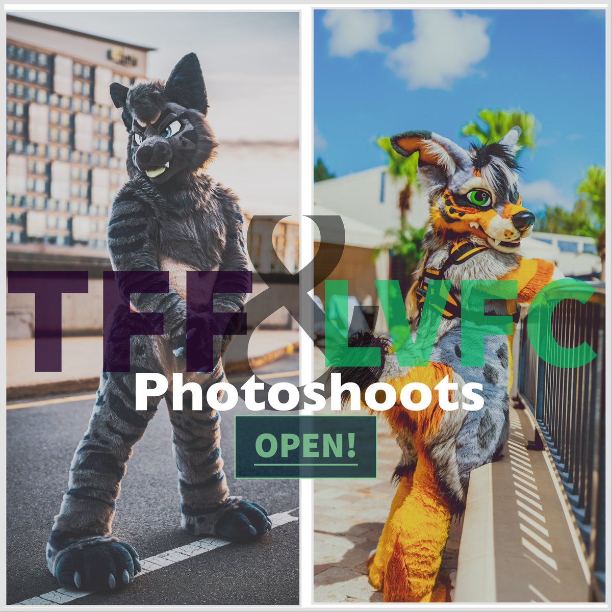 SABER x TOOTH 🔜 TFF/LVFC tweet media