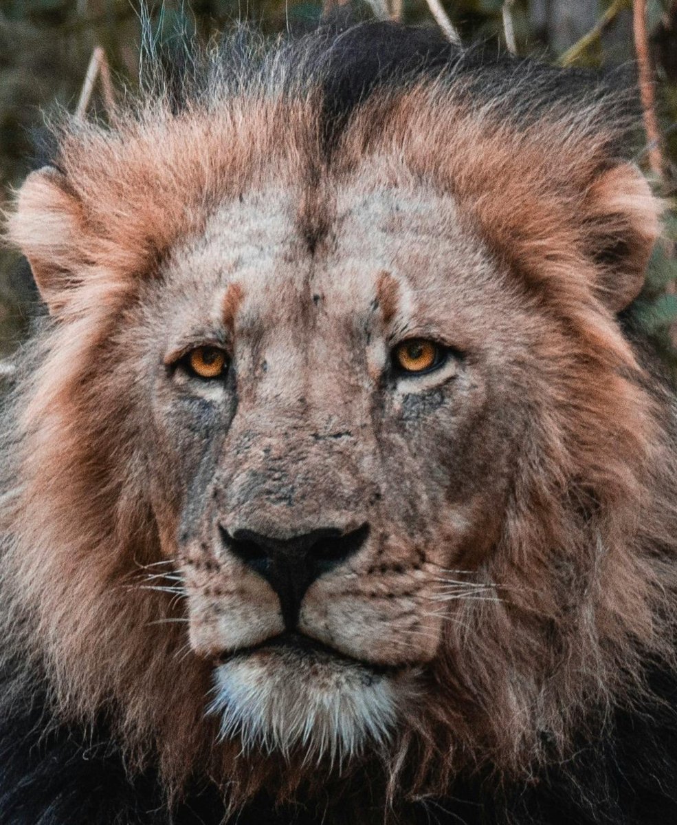 Stats Globe tweet media