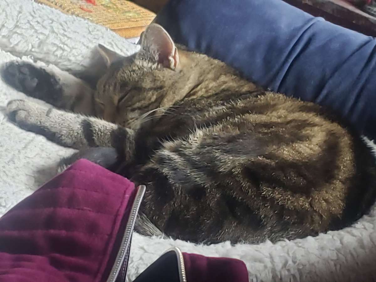 Marsaili Nic a Ghobhainn tweet media