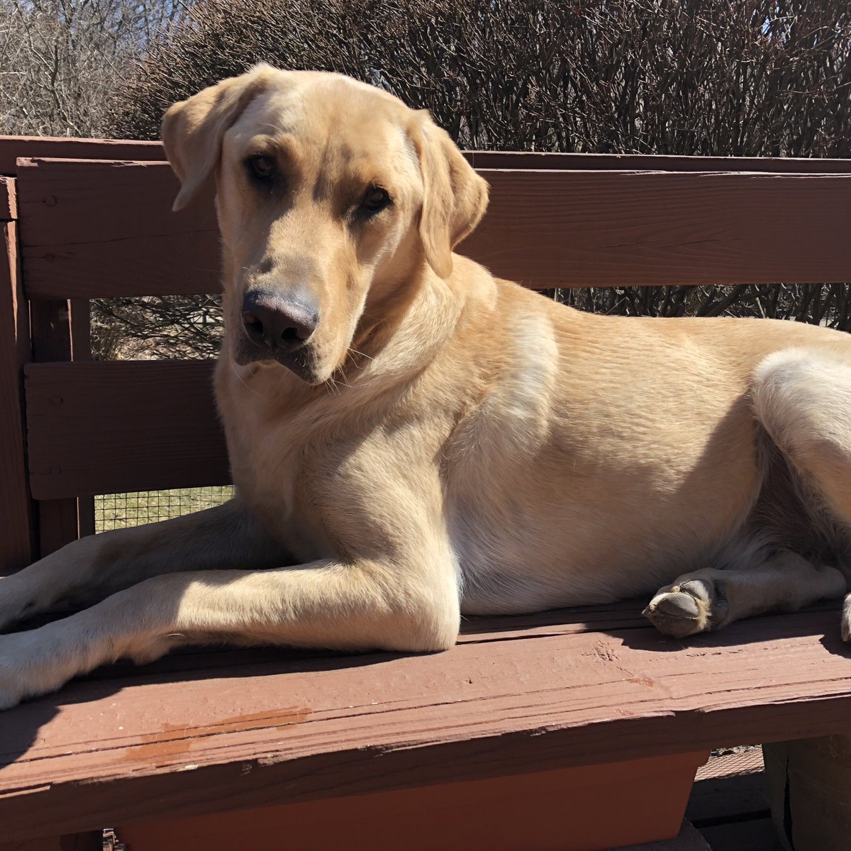 Interpro Translation Solutions tweet media