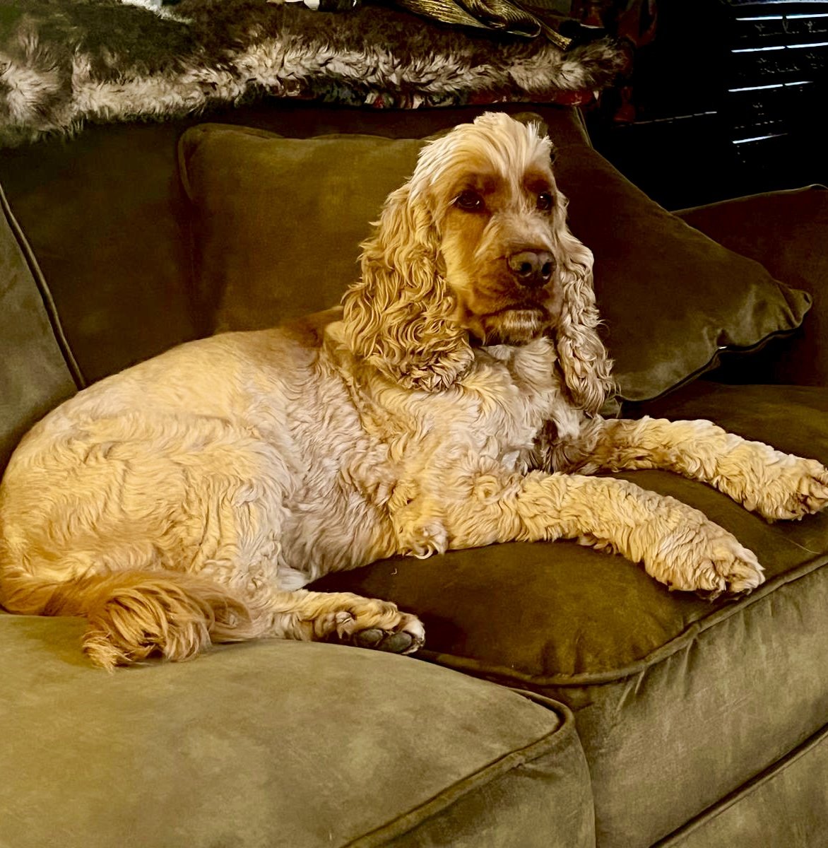 chris towers tweet media