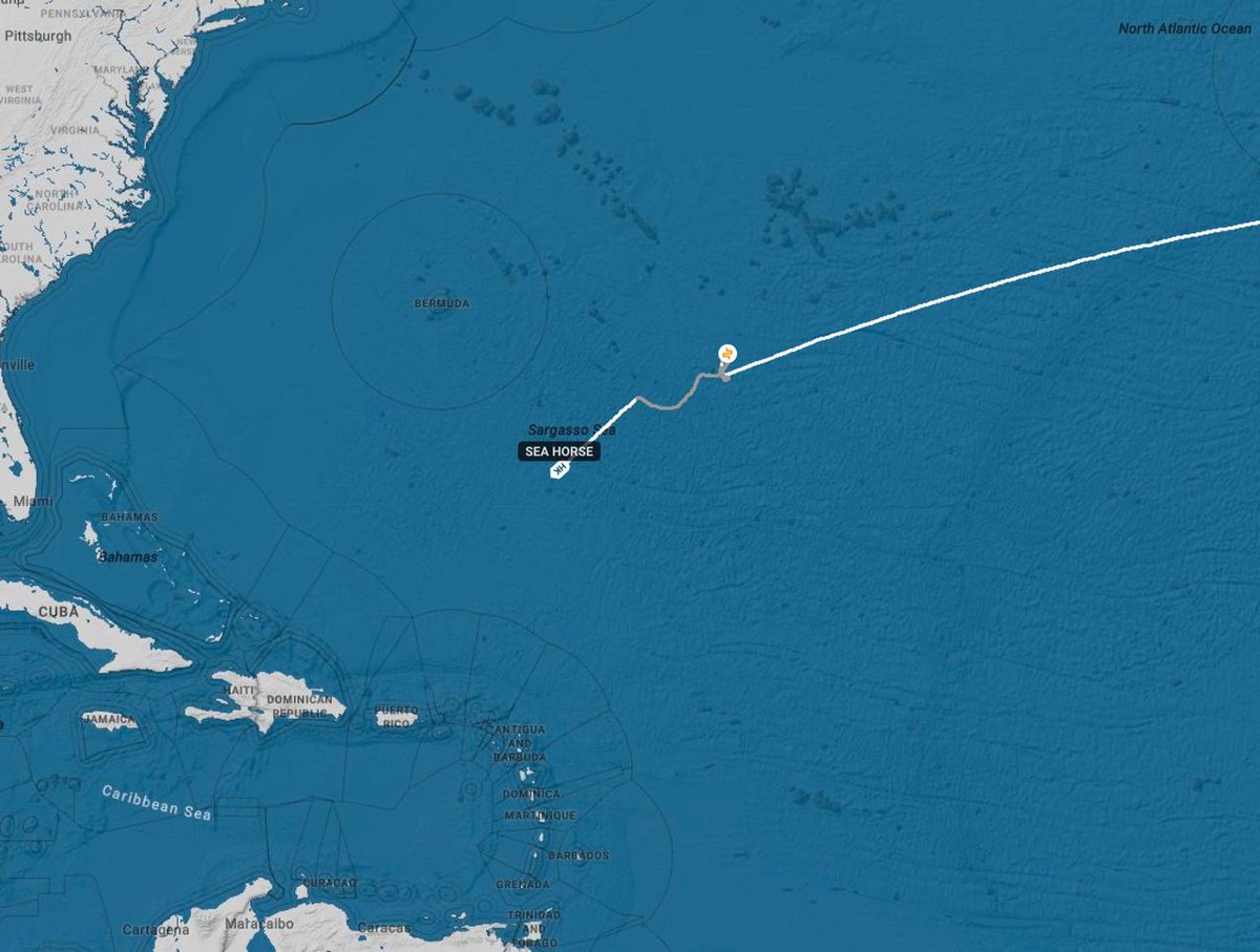 Aleksandar Djokic (Александар Джокич) tweet media