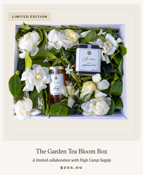 Temu Duchess tweet media