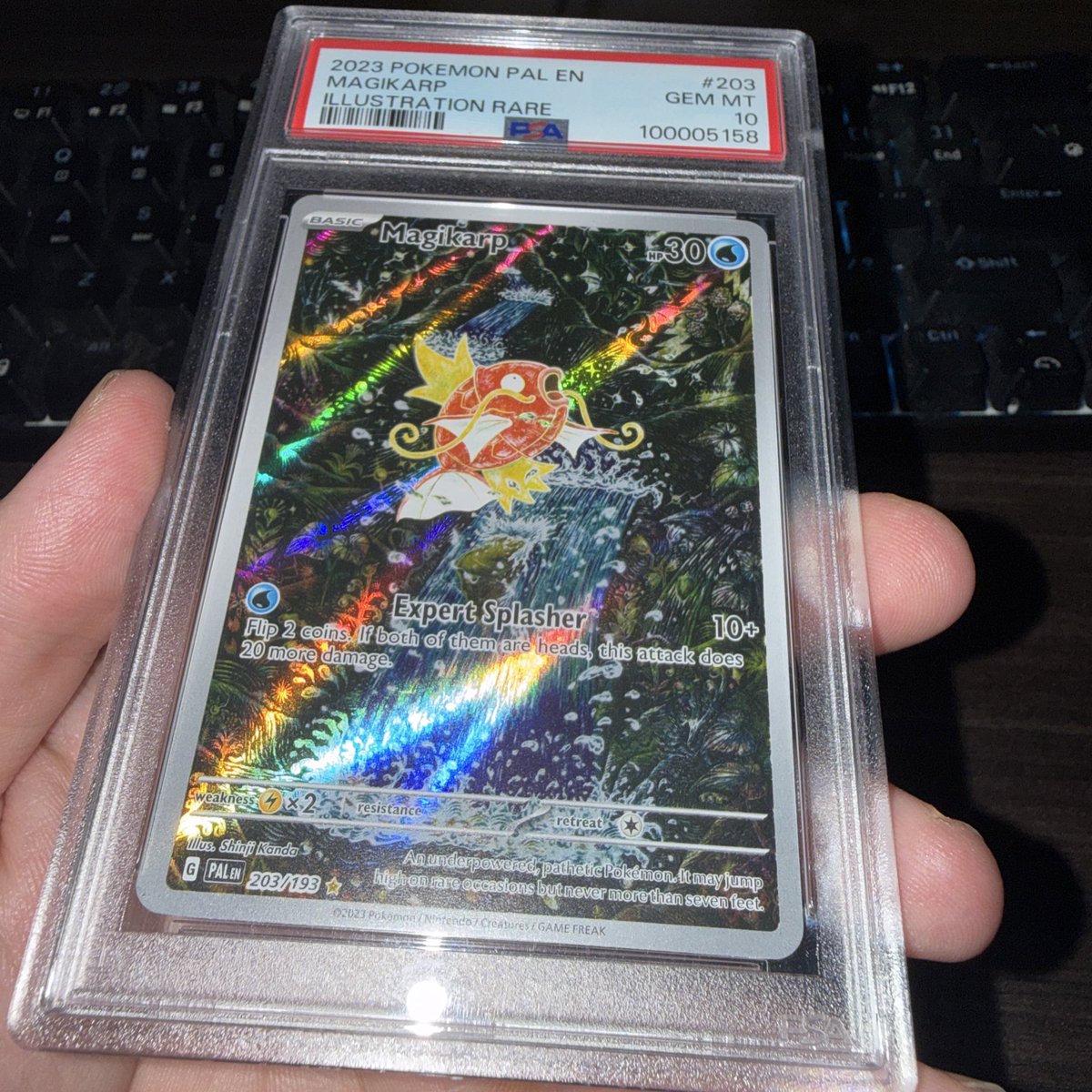 Andrew Forte tweet media