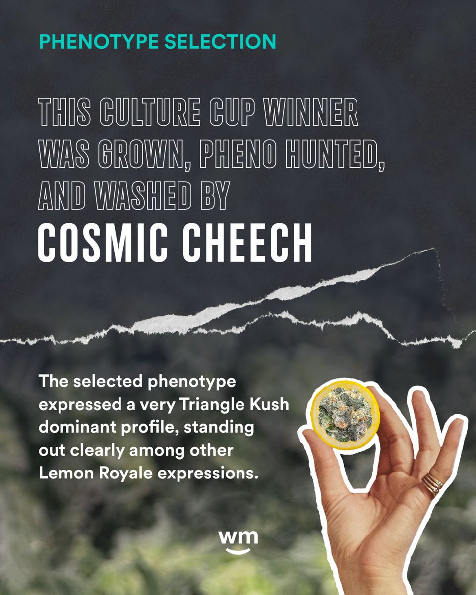 Weedmaps tweet media