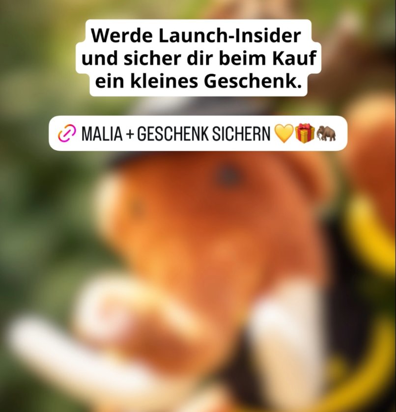 Tammy 🐾 Ministerin für Extremsport tweet media