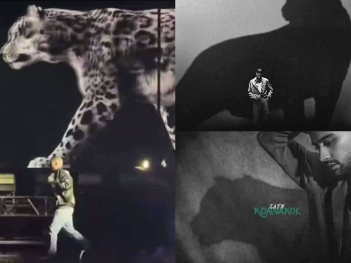 karen ໑̣ 🪩 tweet media