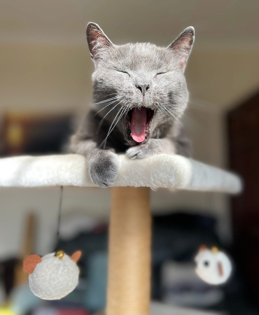 Robert Slater tweet media