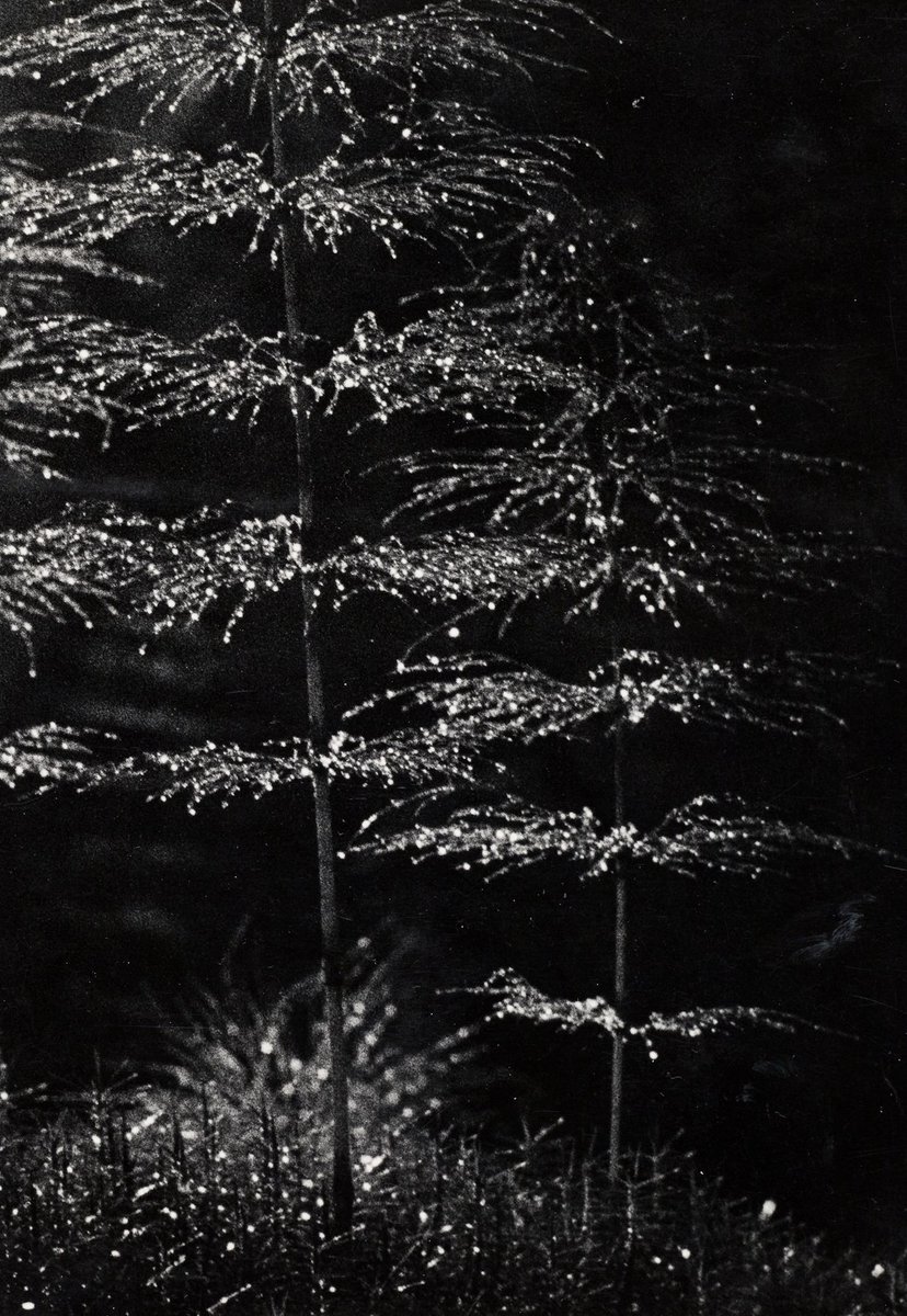 tommasson76's tweet photo. Aimo Vuokola.  

The dew evaporates, 1965. https://t.co/uf5Qwlc5XM