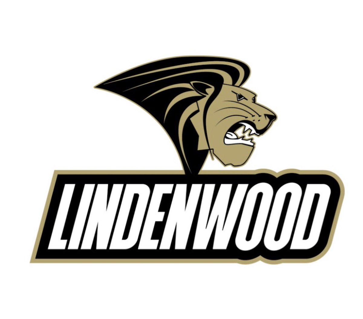 Derek Rollins tweet media