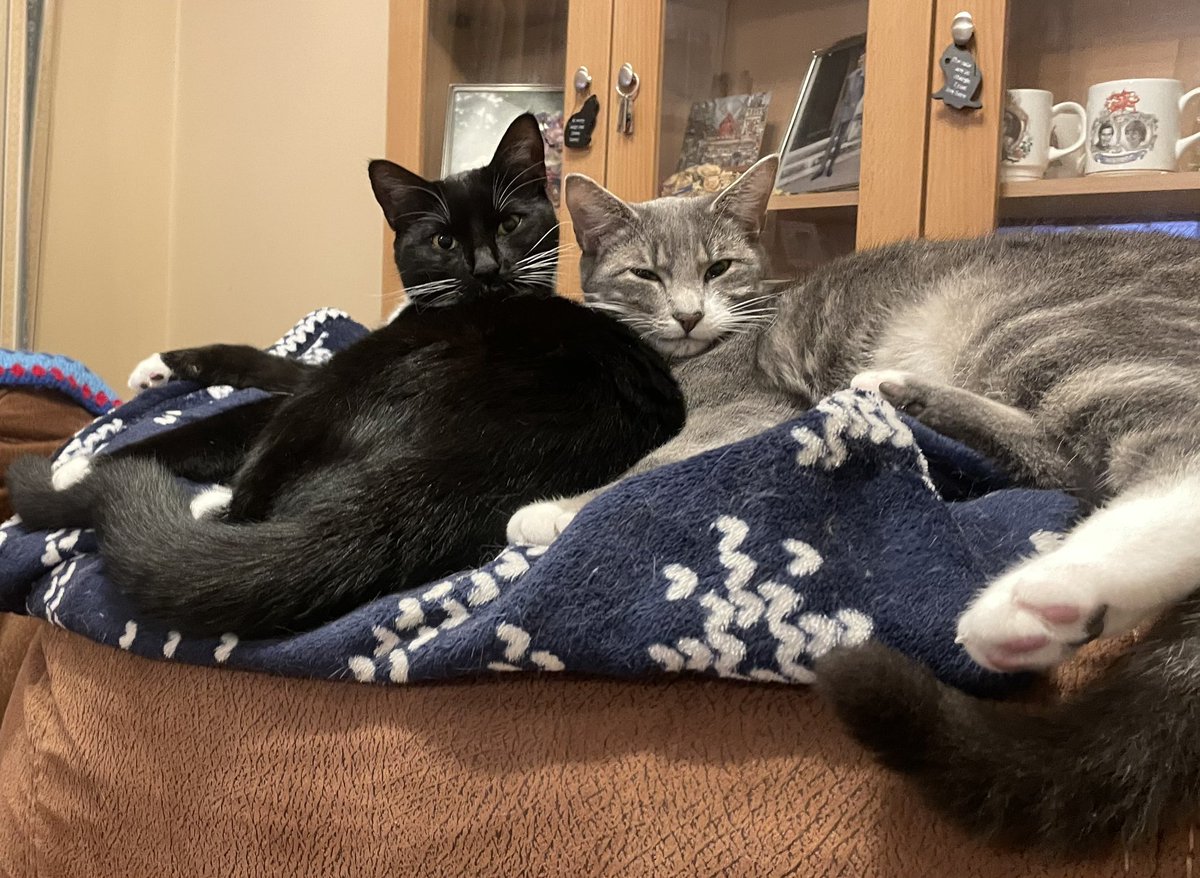 Simon Treasure Photography📷☕️ tweet media