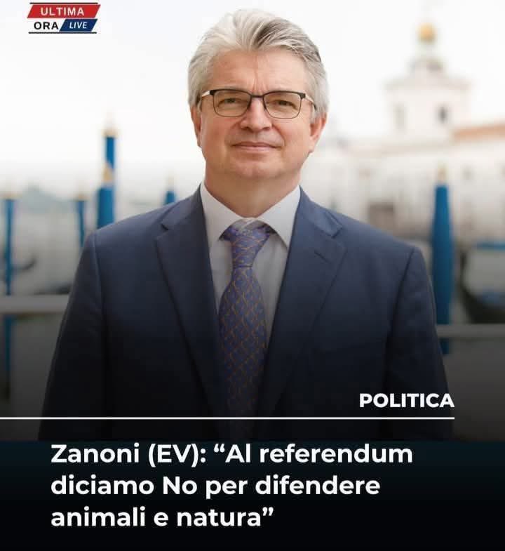 Andrea Venanzoni tweet media