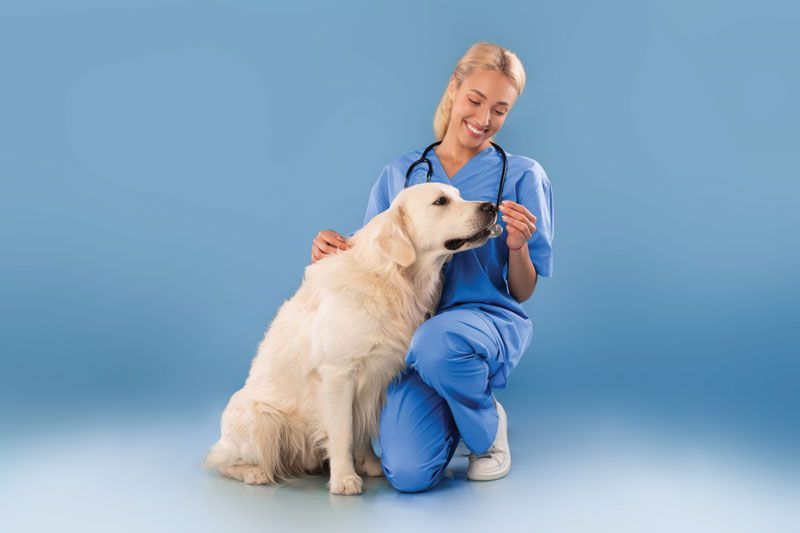 Veterinary Practice News tweet media