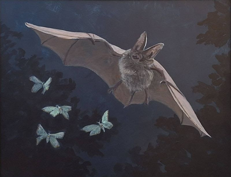 “Echolocation” by 4-Year student Michelle Gates has won the 2026 Restore the Wild Natural History Illustration Award. Congratulations to Michelle on this outstanding achievement.