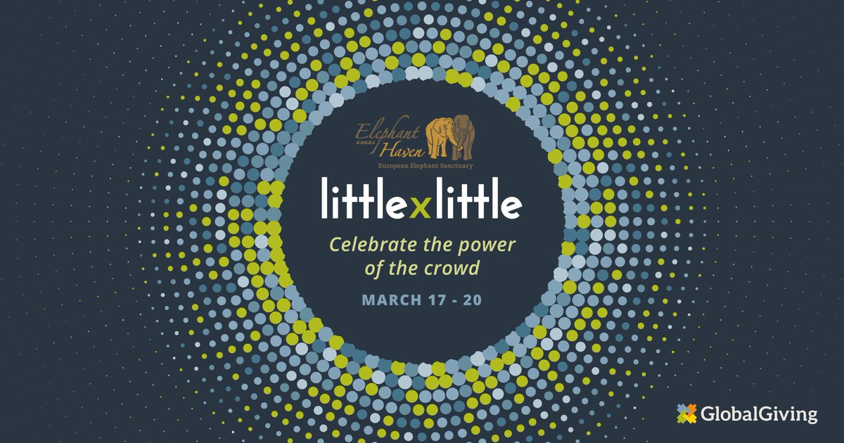 Elephant Haven tweet media