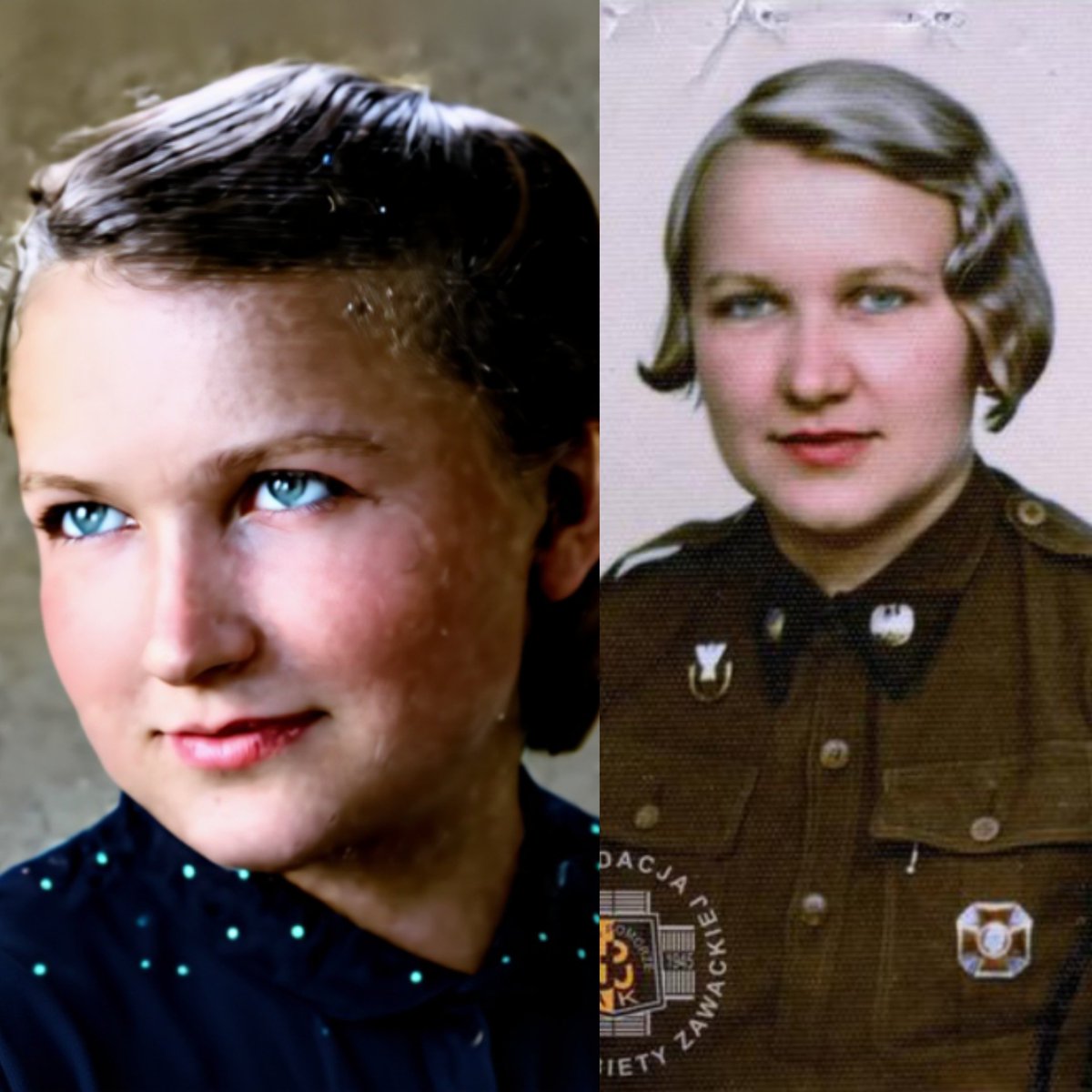 Polski Patriota tweet media