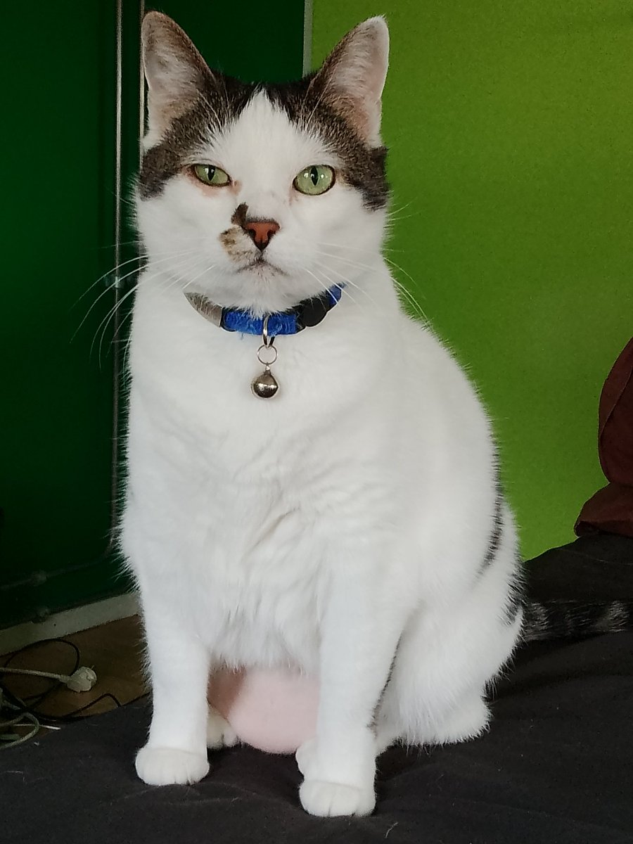 Sparkle & Lilibet from da Yurpean Onion🇪🇺🇩🇪 tweet media