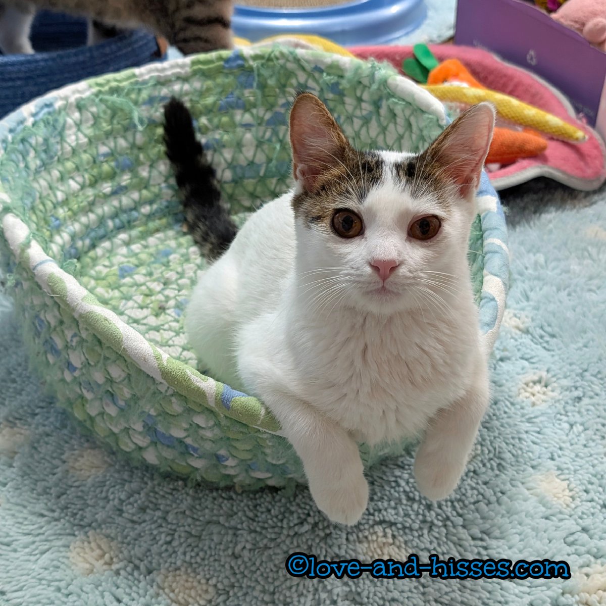 Robyn Anderson tweet media