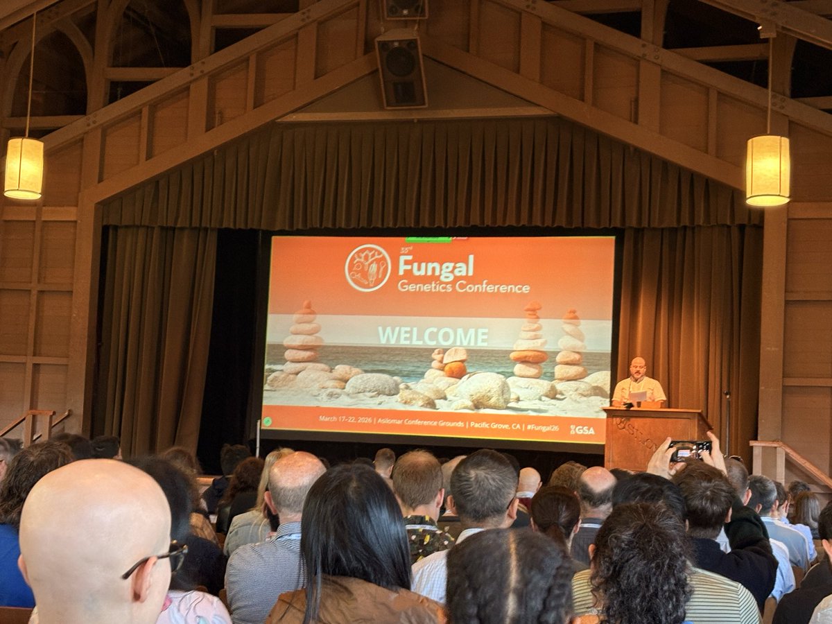 Federico Lopez-Moya tweet media