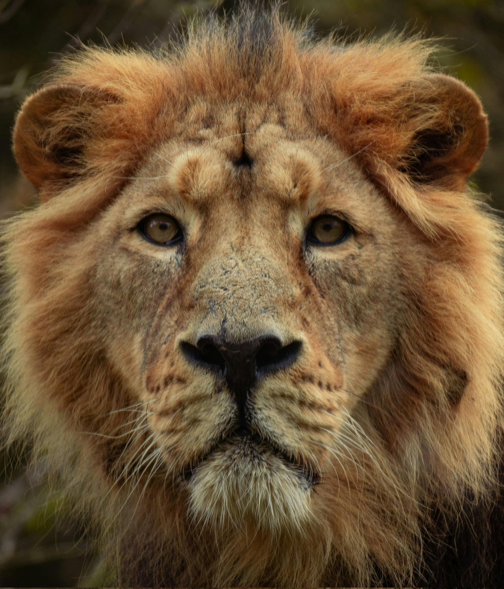 Stats Globe tweet media