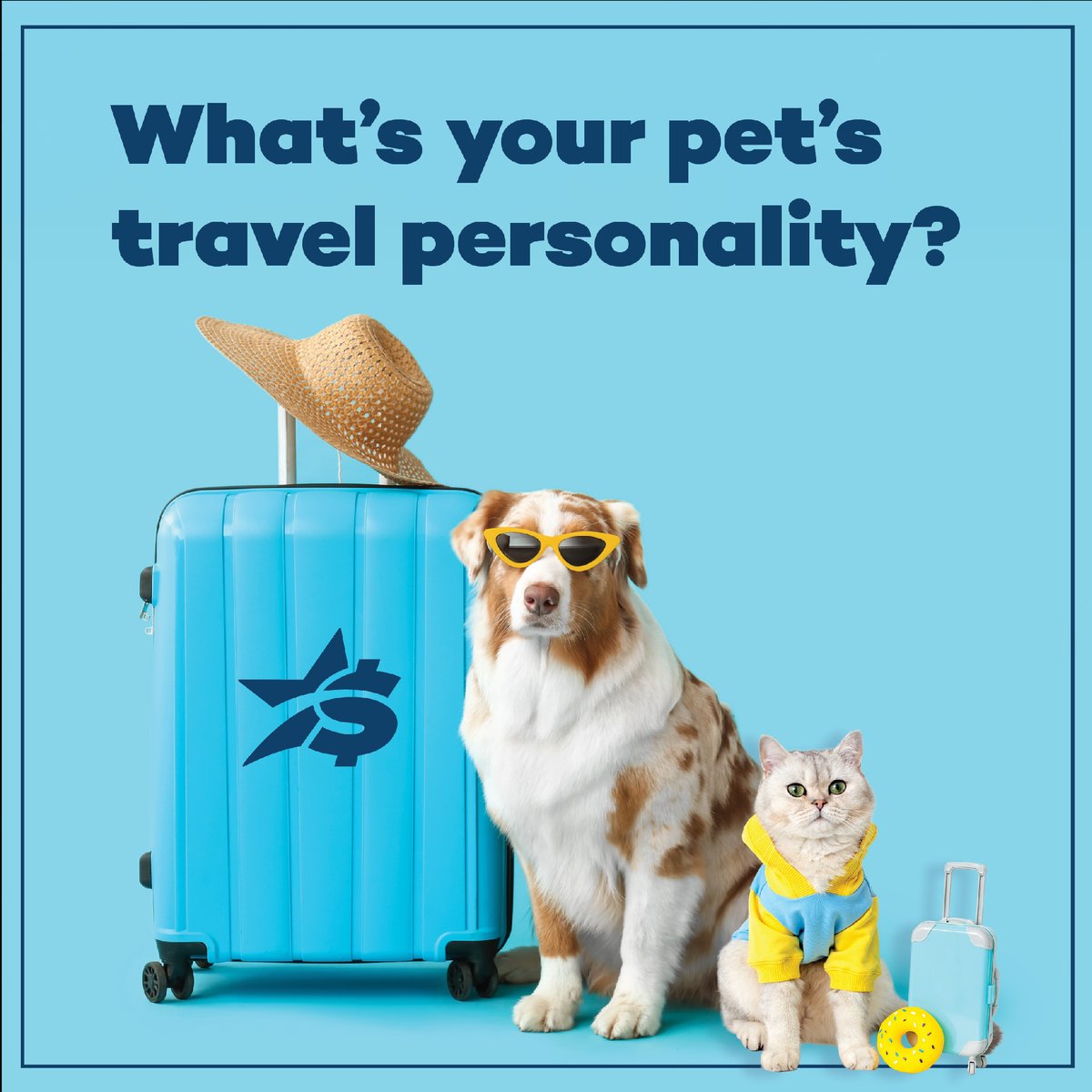 UAdvanceAmerica's tweet photo. Drop the emoji that matches your pet's travel personality. 👇

Spring break is just around the corner! Check out our guide to make your trip smoother for you both.

#AdvanceAmerica #MakeitWork https://t.co/GjQJjeblWl https://t.co/OFkmW2qQfH